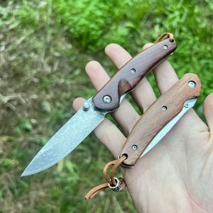 Petit couteau de poche en acier damas #00110